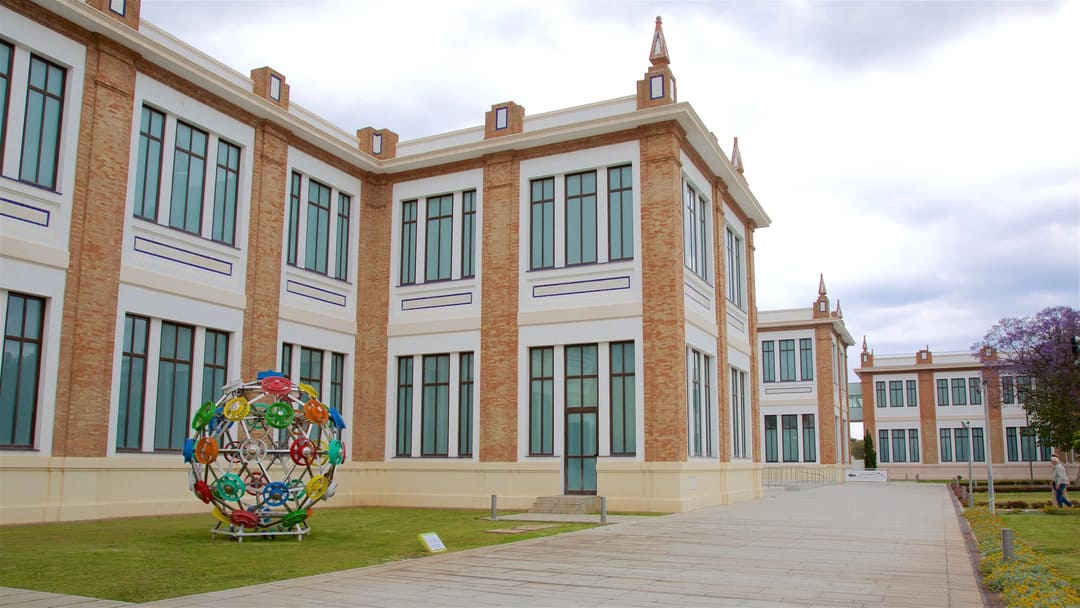 escuela ajedrez carretera de cadiz