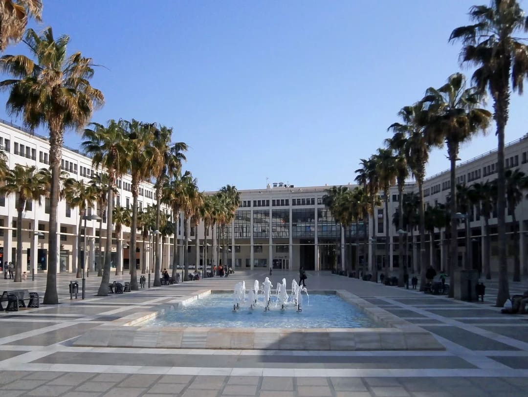 escuela ajedrez el ejido